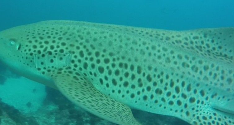 a35d67f6-1994-4258-bd58-3edc994bea35