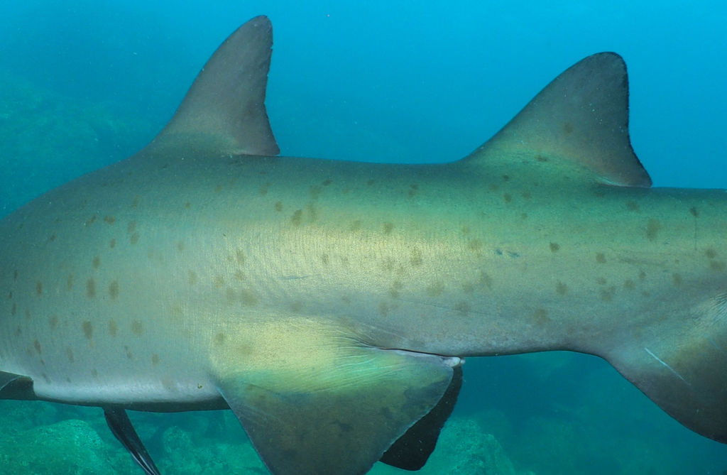 8dbc7c08-80bd-4bef-b925-2408633ee6ad