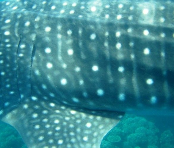 e4d41478-a058-47aa-a900-b3e7bee789fc