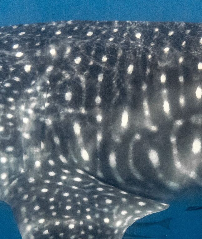 20d45945-1e97-4157-8029-8a5154878ebc