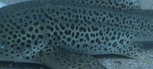 b68e8e5a-b368-40a0-939f-8f079c315aa0