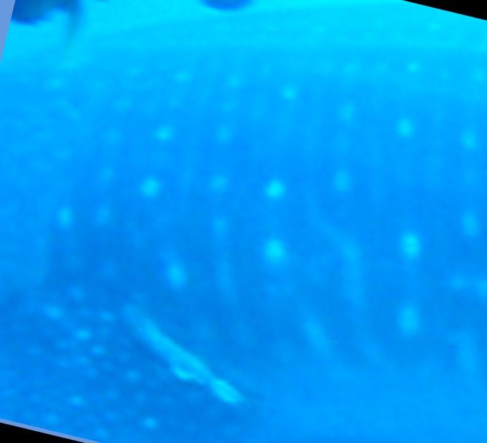 fd59e81e-9421-44c7-b61d-35a5f5e1bf91