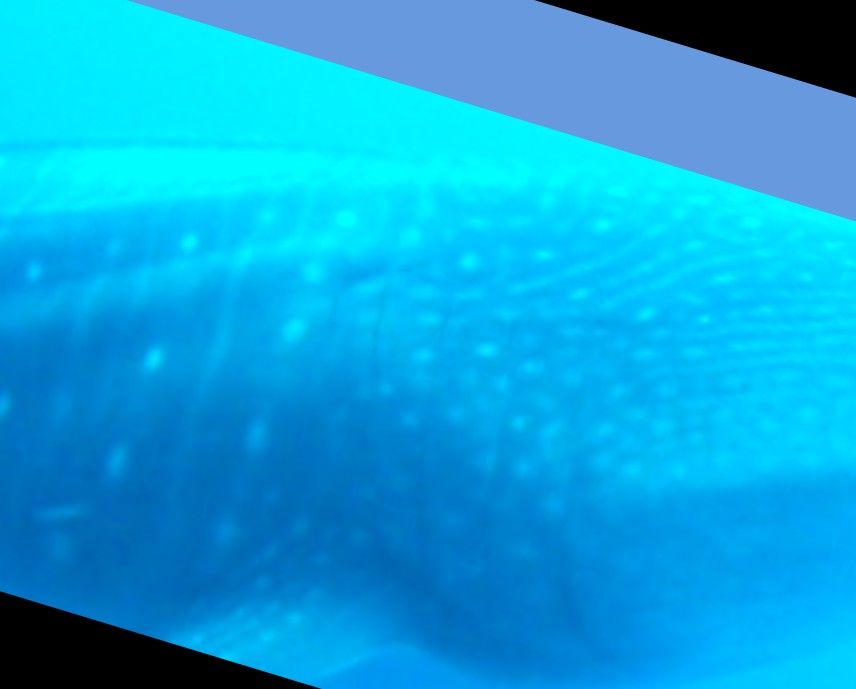 fd59e81e-9421-44c7-b61d-35a5f5e1bf91