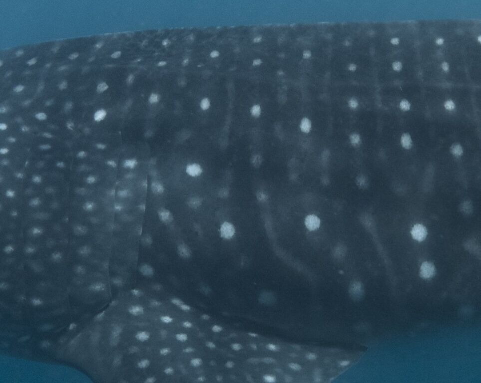 4eb63fb5-838c-4be0-8da1-500876c999ec