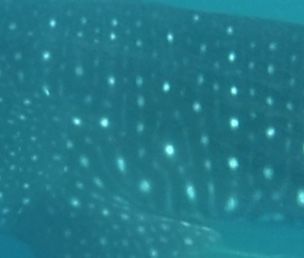 ad3a957e-d369-4b5a-b183-7dffa42f885c