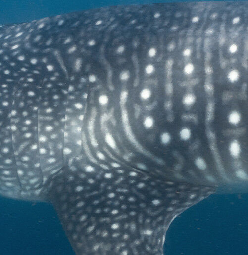 79db757f-721f-4516-9c14-2eedea3eb3cf