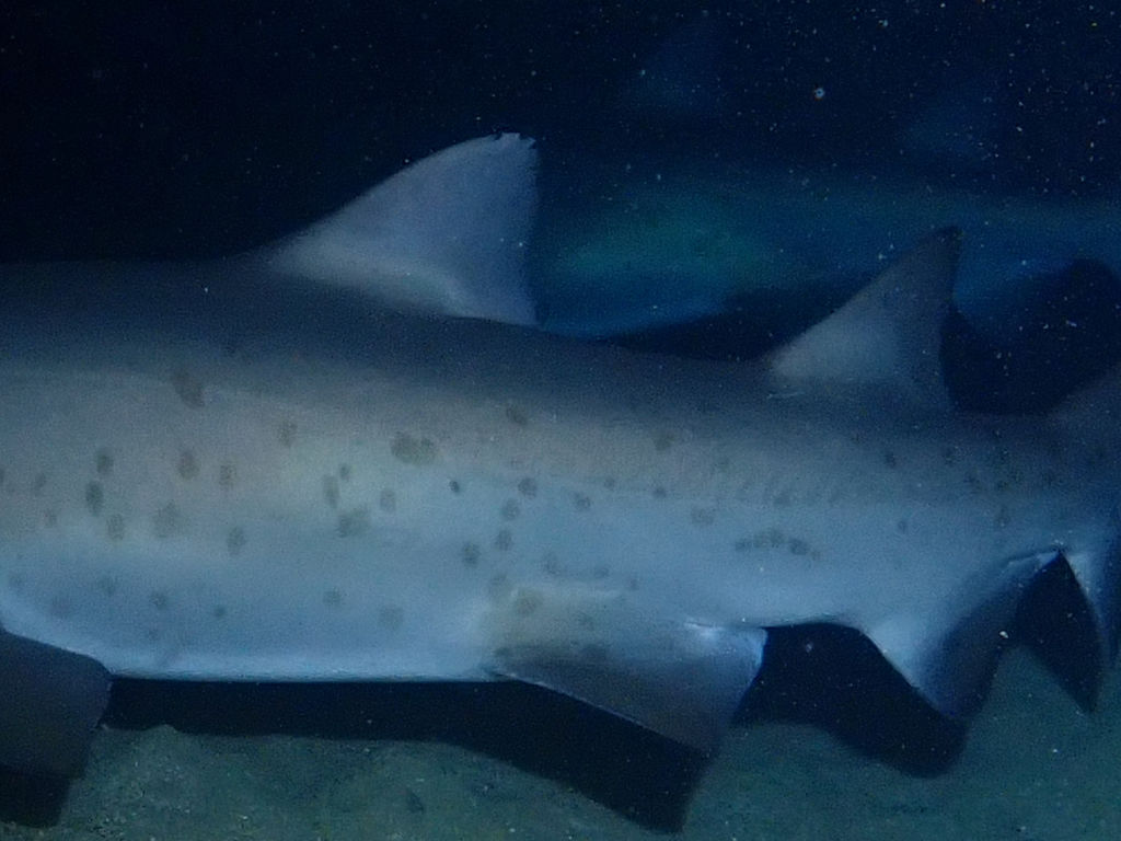 f7f6e6b3-02e2-4701-a66b-27e1d4629868