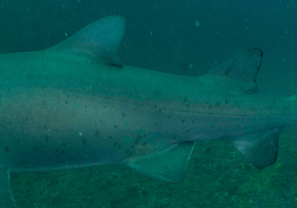 d4650413-3983-4b24-acce-fd445df38959