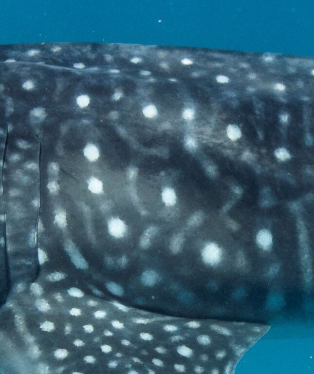 1354f61f-efc0-4fcf-ae20-6b00f677622c