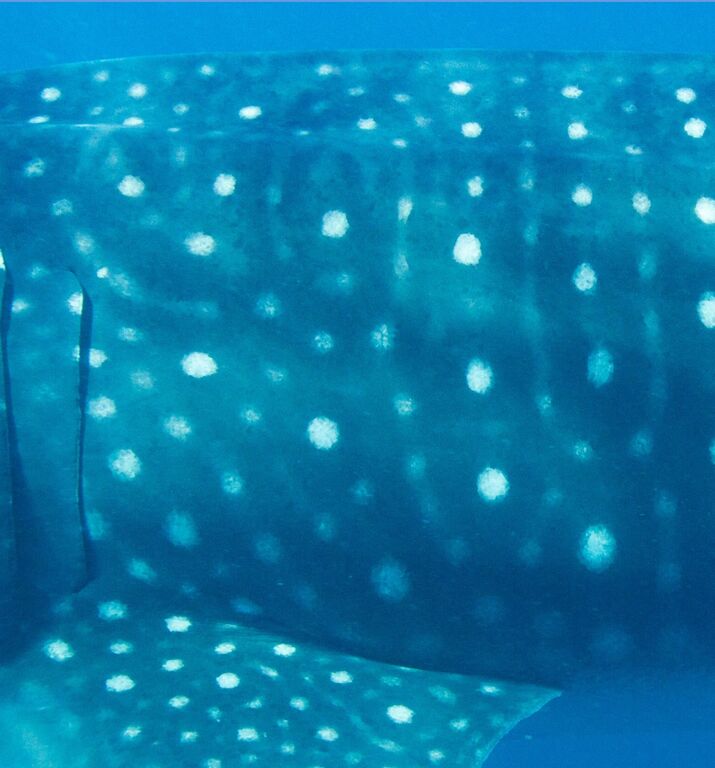 34fbb821-2f01-46ff-b3ad-17ddb5d1dced