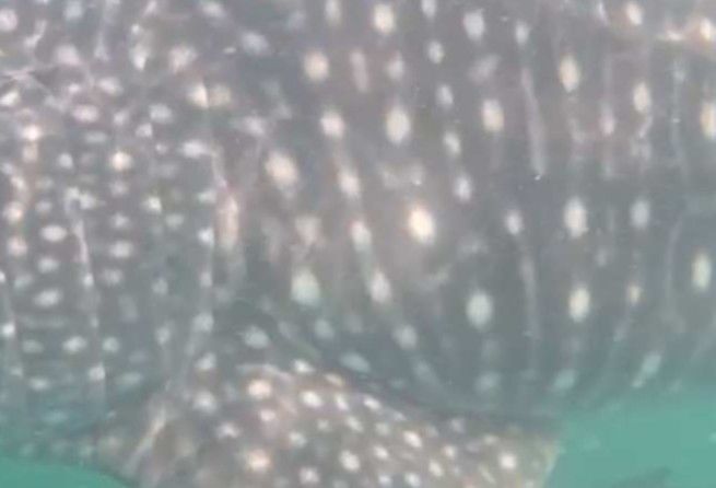 83e74877-ebec-44b6-b267-e2ccbdf69b93