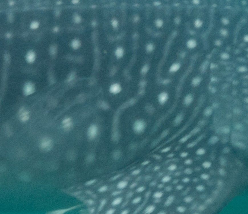 60720c19-5114-45ea-9e29-3cb9ae8f09cd