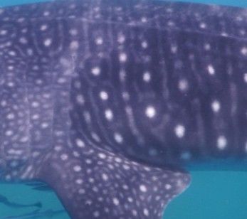 47111f68-a21a-41b5-9f15-be1e54b7d189