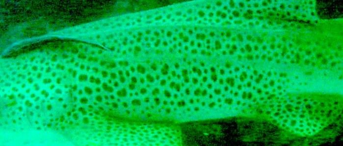 31704267-b6bd-4dab-a9d9-b71a7d146eb7