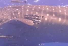 ef4c3fd6-33c7-4e59-b5bb-3f53e4174f14