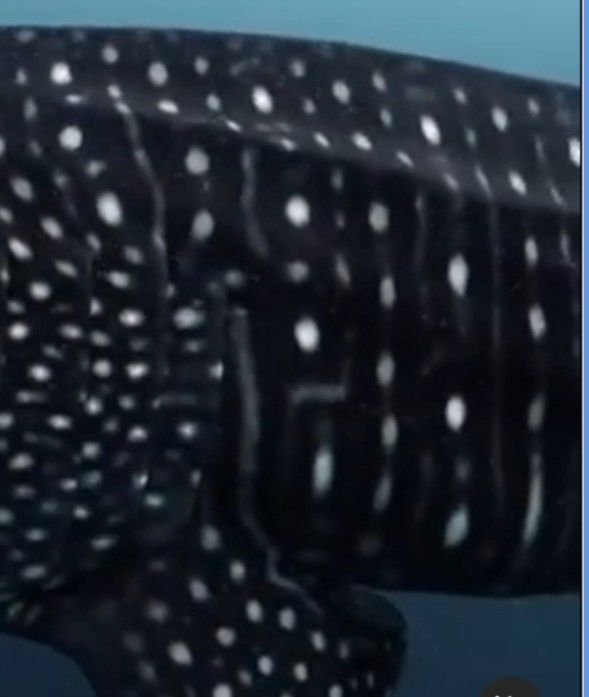 520310de-9132-49c9-93bb-73387ae5f26c