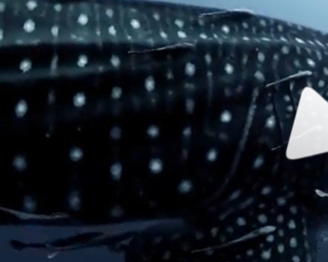 520310de-9132-49c9-93bb-73387ae5f26c