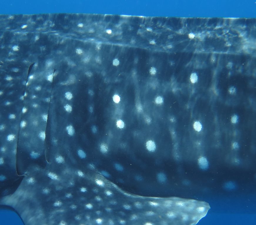 10b9e271-d7ac-441d-b559-05777d1b85ae