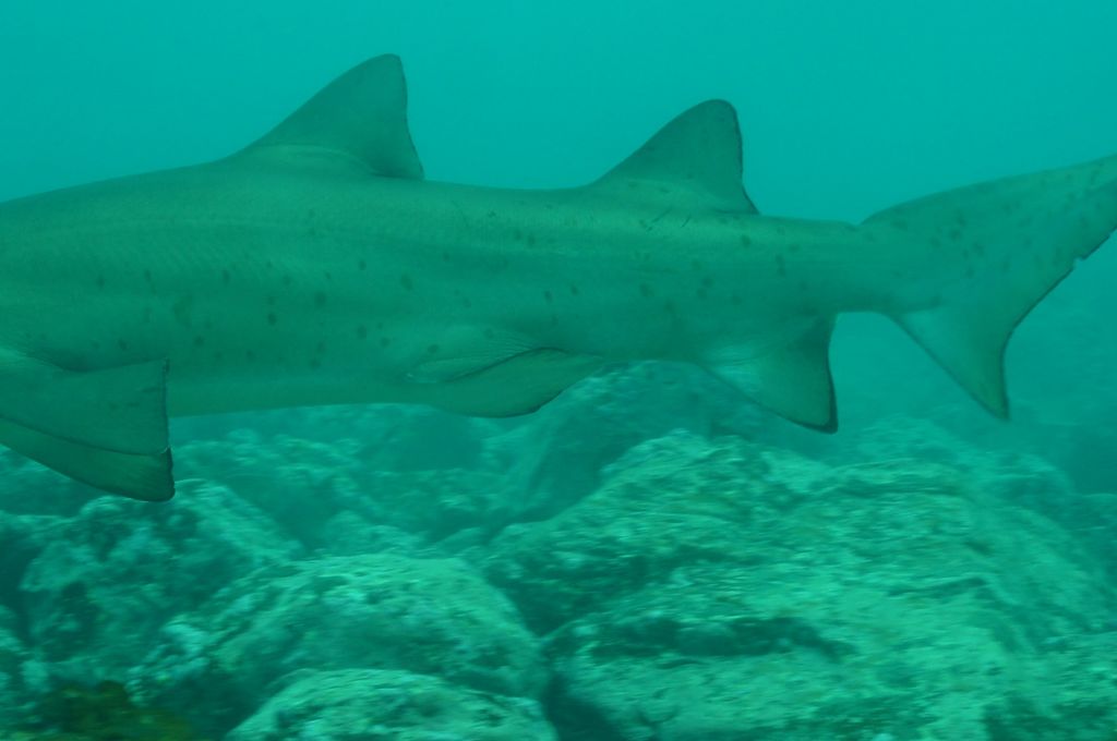 3f1390b4-8e32-4736-8208-68ba1264027f