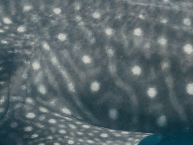 9a423ec4-8096-47d2-aae9-f41d6d9219cd