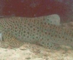 9532a6b1-3f7d-4207-a995-93ef13cccb87