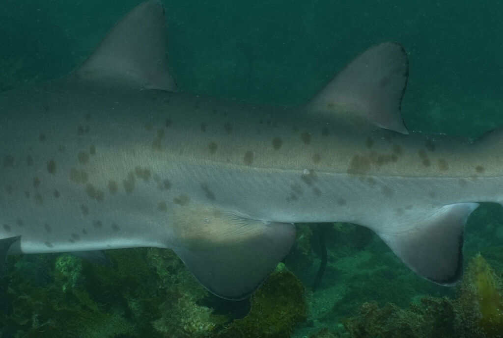 95cdf0b8-cafd-4834-9d0d-7794c0974f48