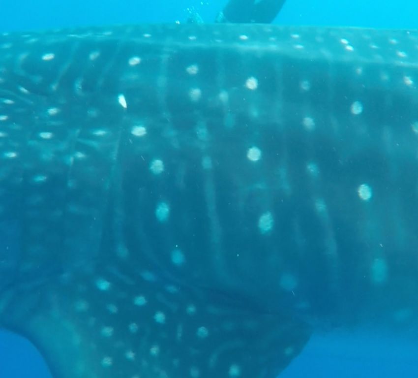 bf128b09-5cf2-4fa4-9528-40de4fb77537