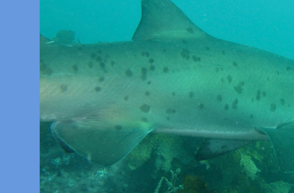 7799e8d7-9d61-413b-9715-19e6a0c8d844