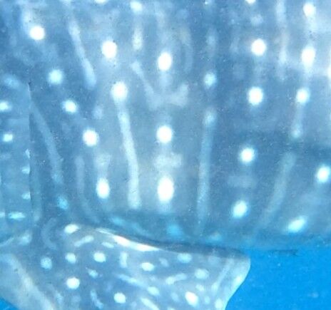 f8718fc0-40ce-4c3c-8a7c-c299972a9022