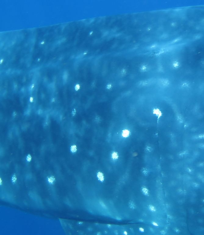 67629b89-5283-4b1d-9521-29c794b00507