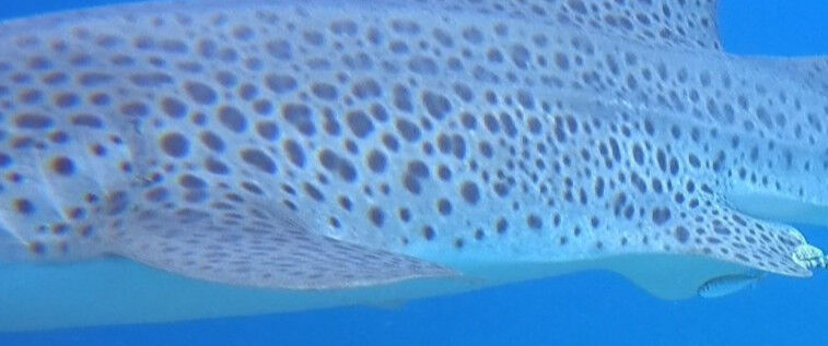 cad3d0cd-d7e4-47a0-afa3-68eee758c514