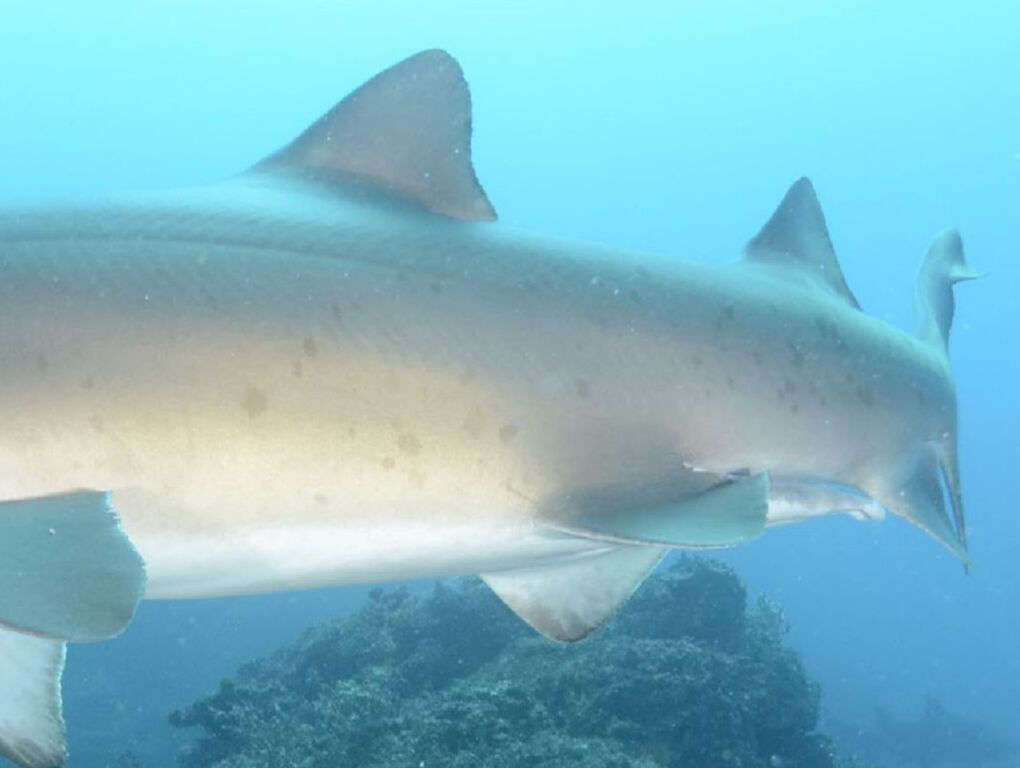 8554b6b8-3bf3-4bef-a698-0e1b1892c898