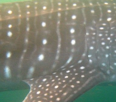 3462b642-0bd3-43a8-9ce7-04d85138cb98