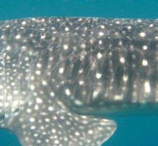 b3255545-65a2-4610-bef0-3db8f0e1b2e4