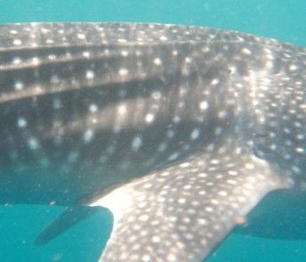 b3255545-65a2-4610-bef0-3db8f0e1b2e4