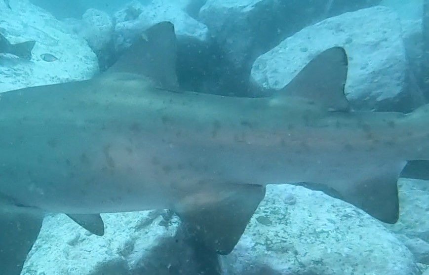 25cdcc4a-0575-4af6-9106-27be474b9ec4