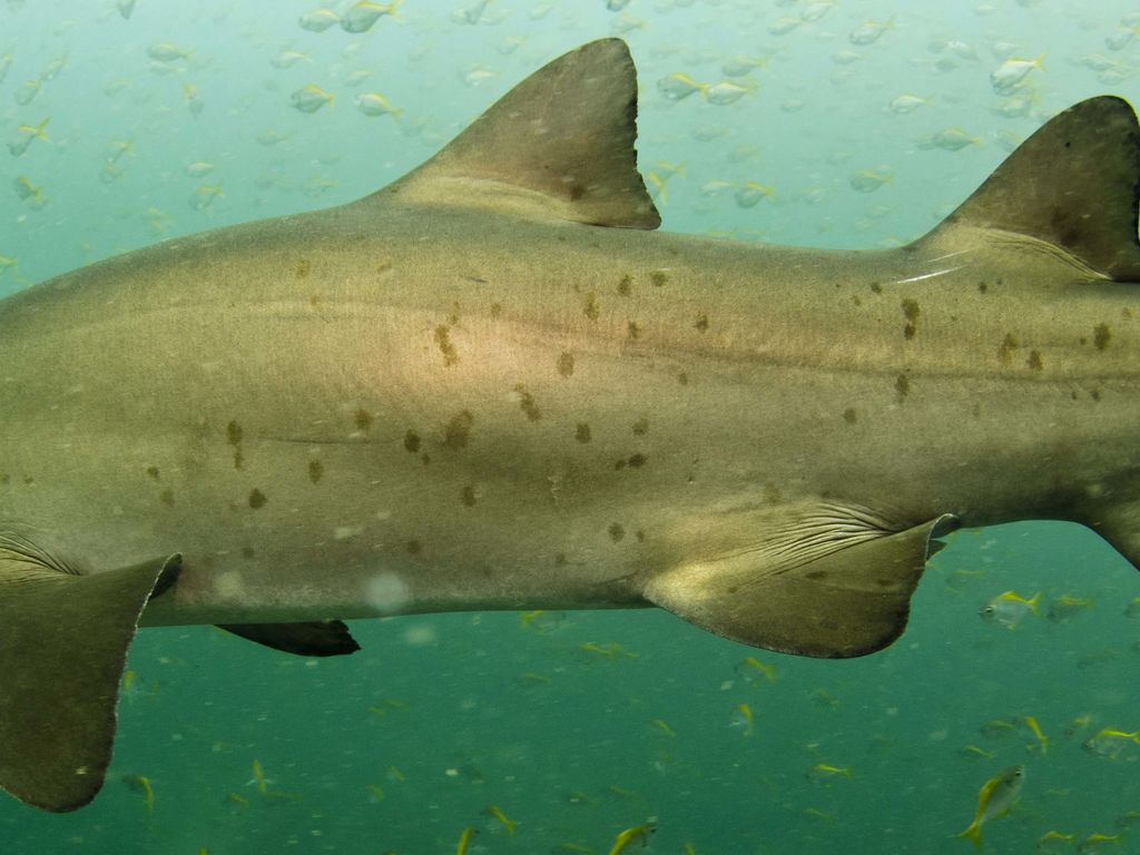 6df758cb-a245-48cf-8e4b-9805f57e19d1