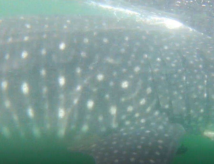 8410ae64-5b40-47ae-916f-a71f34236492