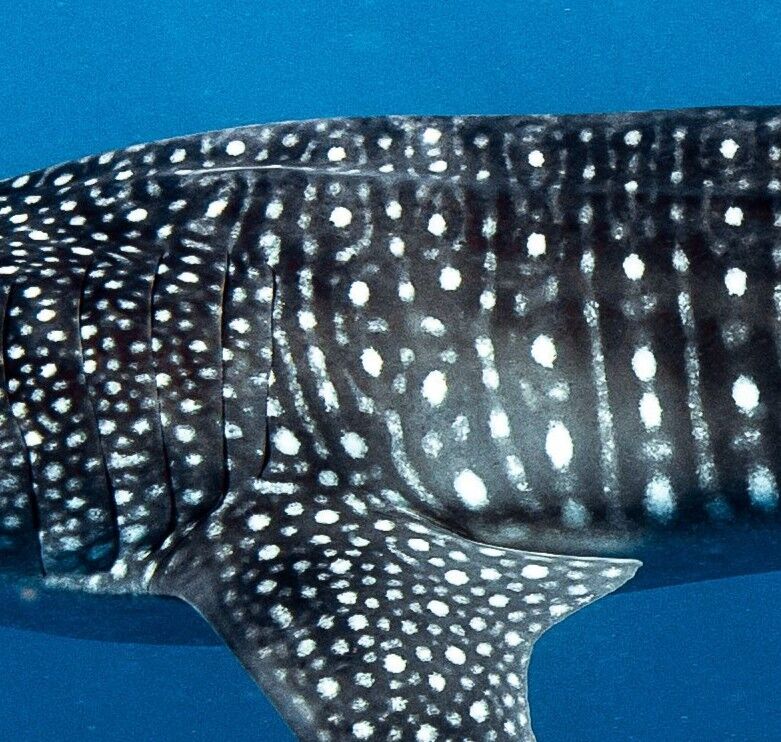 151d4dbc-f35d-4d9f-87a4-911135d150e8