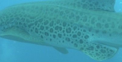 f94b10c7-70ed-4c9c-a2bc-8e44ba2c0cd6