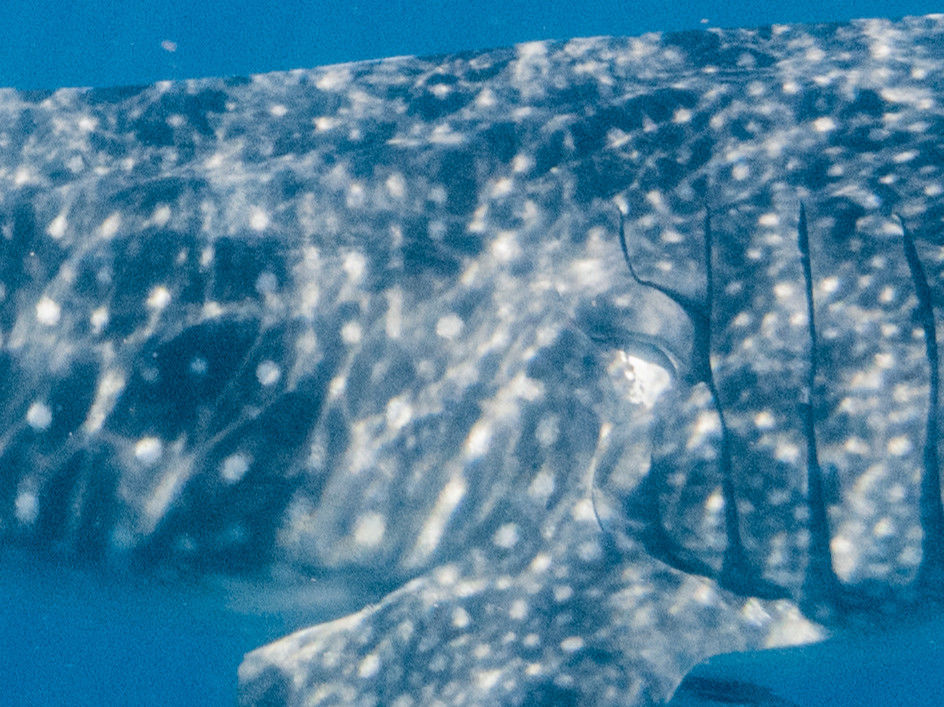 26a89fa0-ef44-4294-923c-660347df0ef2