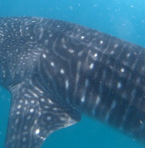 81439374-69a1-4b9b-b3c6-be3ffa743425