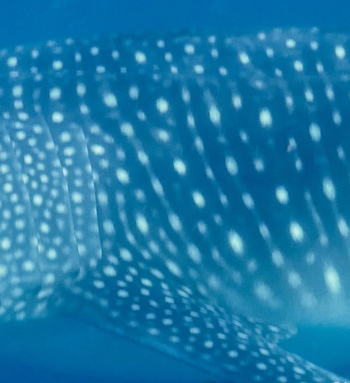 ef144677-a798-478c-93f1-1b17b831df86