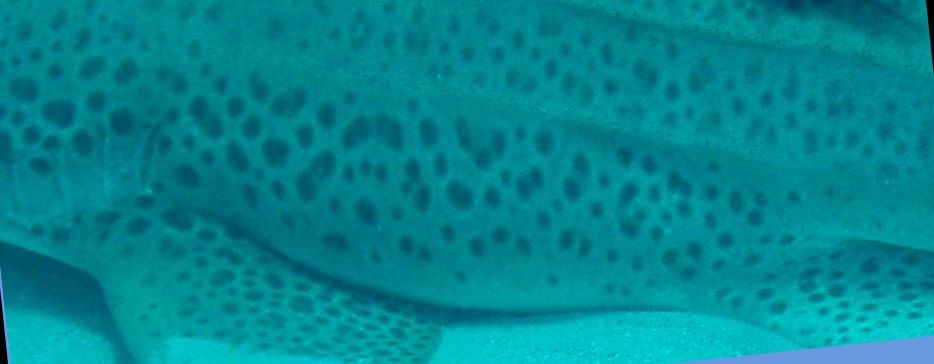 61c3d1c4-6928-4842-b70b-b36149abba1c