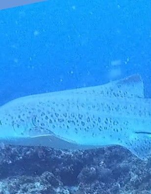 cda8f83f-6b1e-4534-92e1-ce53c8115d6c