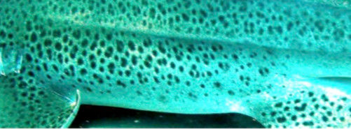 4b152920-a412-4f23-b1e9-1a192750baee