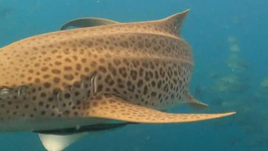 a94a7c22-4cea-4a0a-815b-ccfec7798497