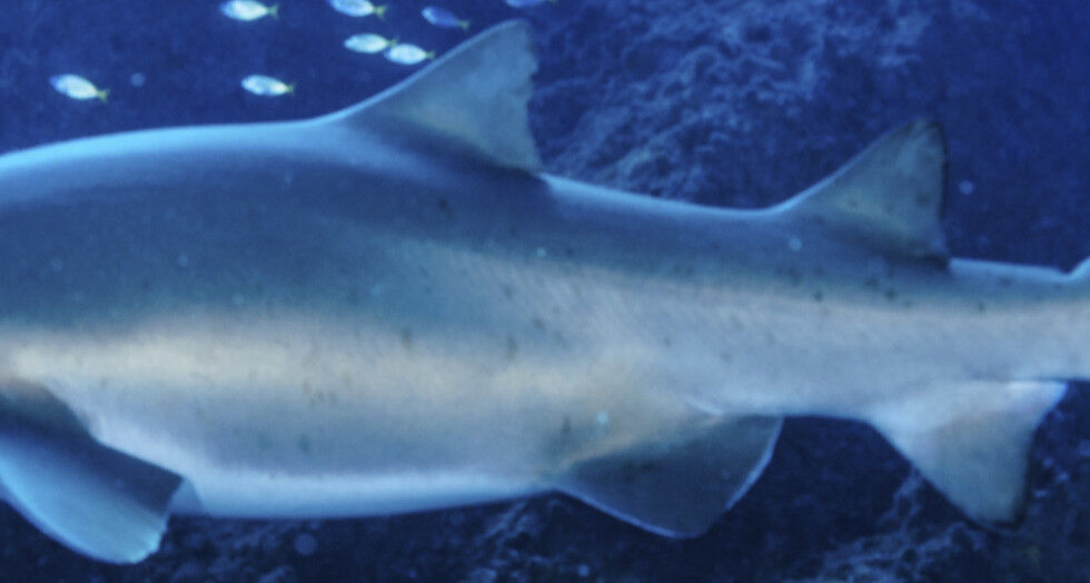 3d7041f0-ffb0-45f8-80ad-d7bef4d9cb2c