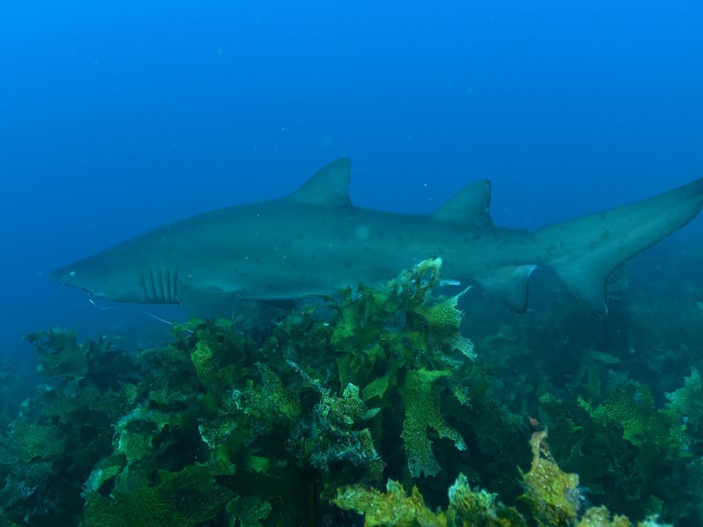 0c546326-7659-48e6-b8fa-5e0d3eb7b452