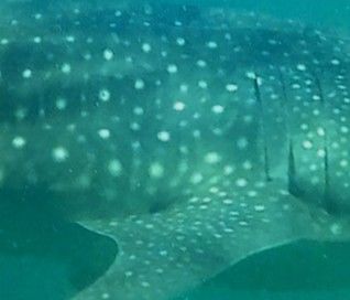 1dddcc69-aef3-4c58-a012-dab308fb817c